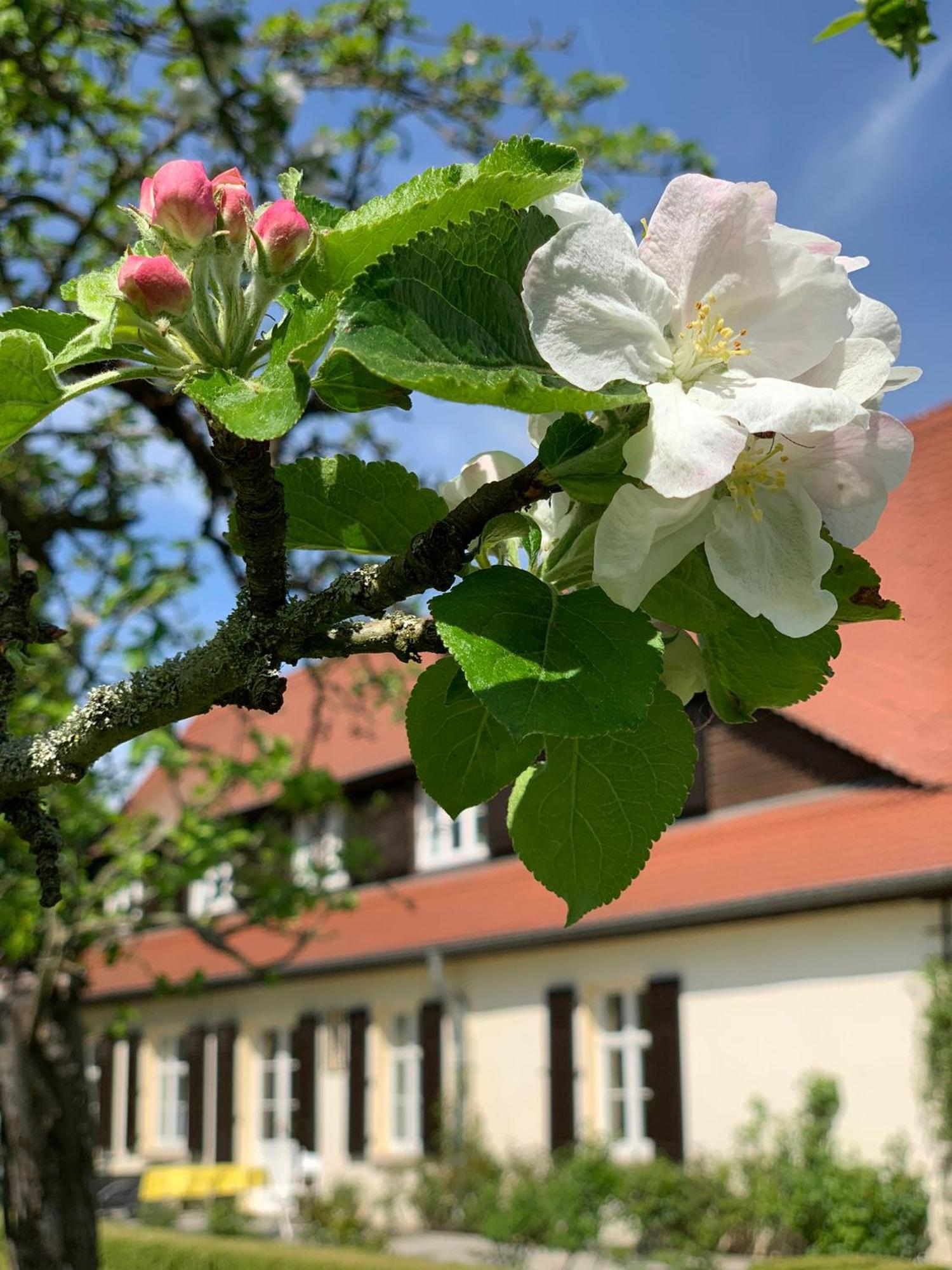 Landhaus Saaleck เนาม์บวร์ก ภายนอก รูปภาพ